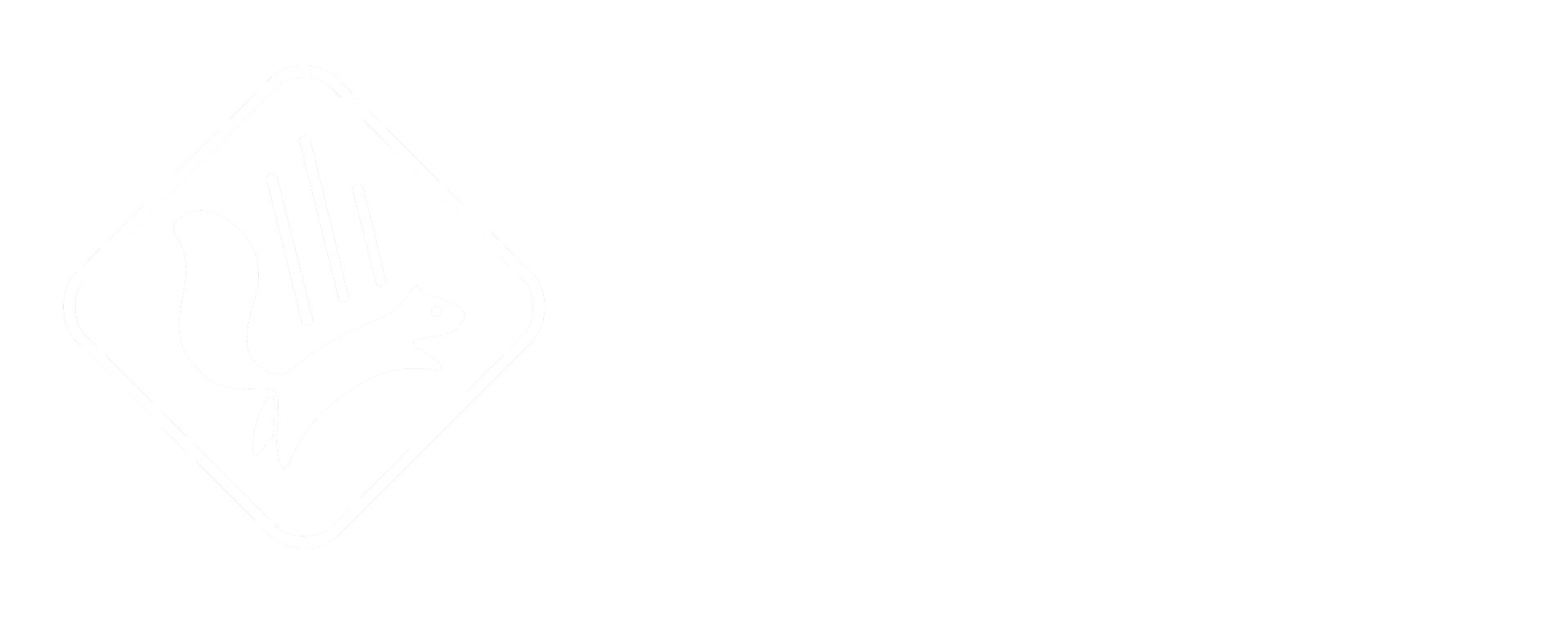 Falling Squirrel